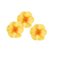 Narcisses jaunes, sucre,  1X 100 pcs - Ø 30 mm