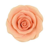 Grandes roses, saumon 1 X24 pcs - Ø 50 mm
