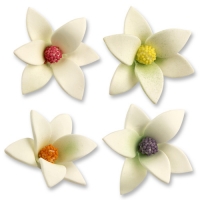 Grandes fleurs blanches en sucre adragant, assorties 1 X48 pcs - Ø 60 x 25 mm