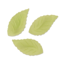 Petites feuilles vertes, azyme 1 X500 pcs - 20 x 42 x 5 mm