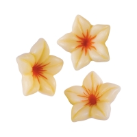 Fleurs en chocolat blanc 3D, 1 X76 pcs - Ø28 x 15 mm