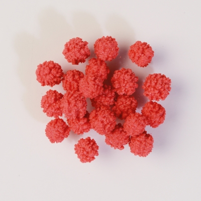 Mimosas rouges (riz soufflé) 1 X1 Kg - Ø 6-8 mm 