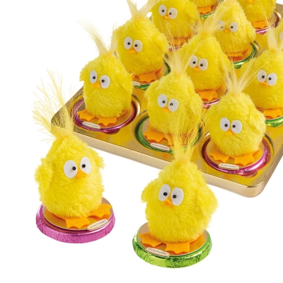 Médaillon-praliné orné d'un Poussin de Pâques 1 X12 pcs 