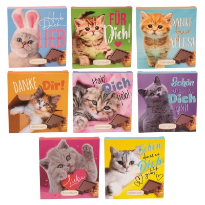 Étuis  Chats , ass. 1 X16 pcs 